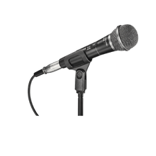 Microphone