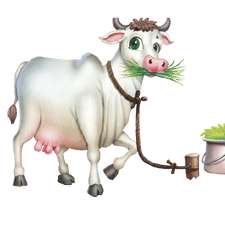 Cow