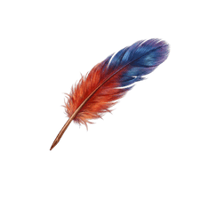 Quill