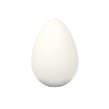 Egg
