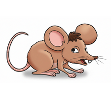 Squeaking