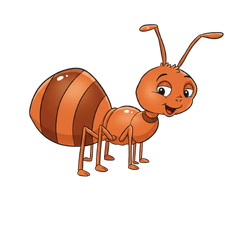 Ant