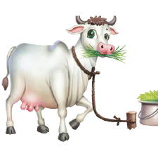 Cow