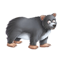 Bear