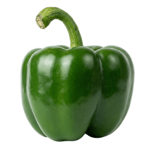 Capsicum