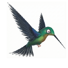 Hummingbird