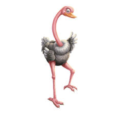 Ostrich