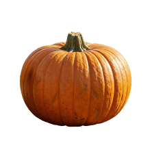 Pumpkin