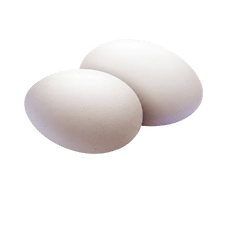 अंडा