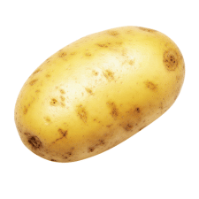 Potato
