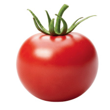 Tomato