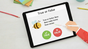 Game 4 - True or False
