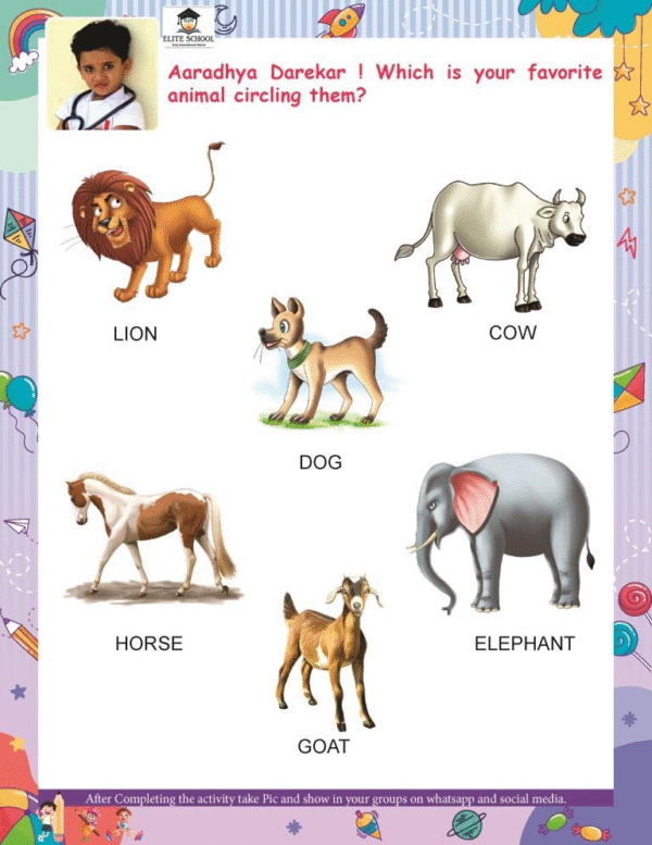 EVS Book - Image 3