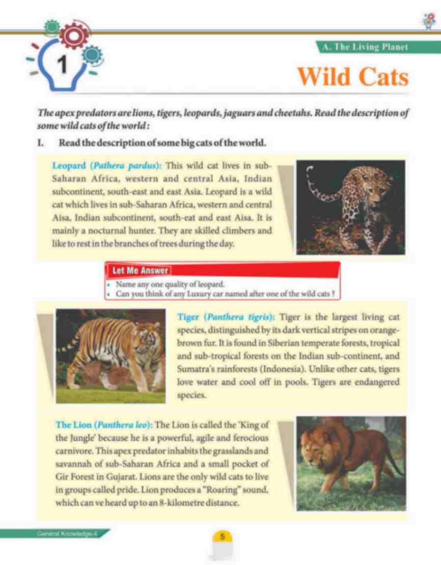 Quest To Know-4(General Knowledge) (72 Pages) - Image 3