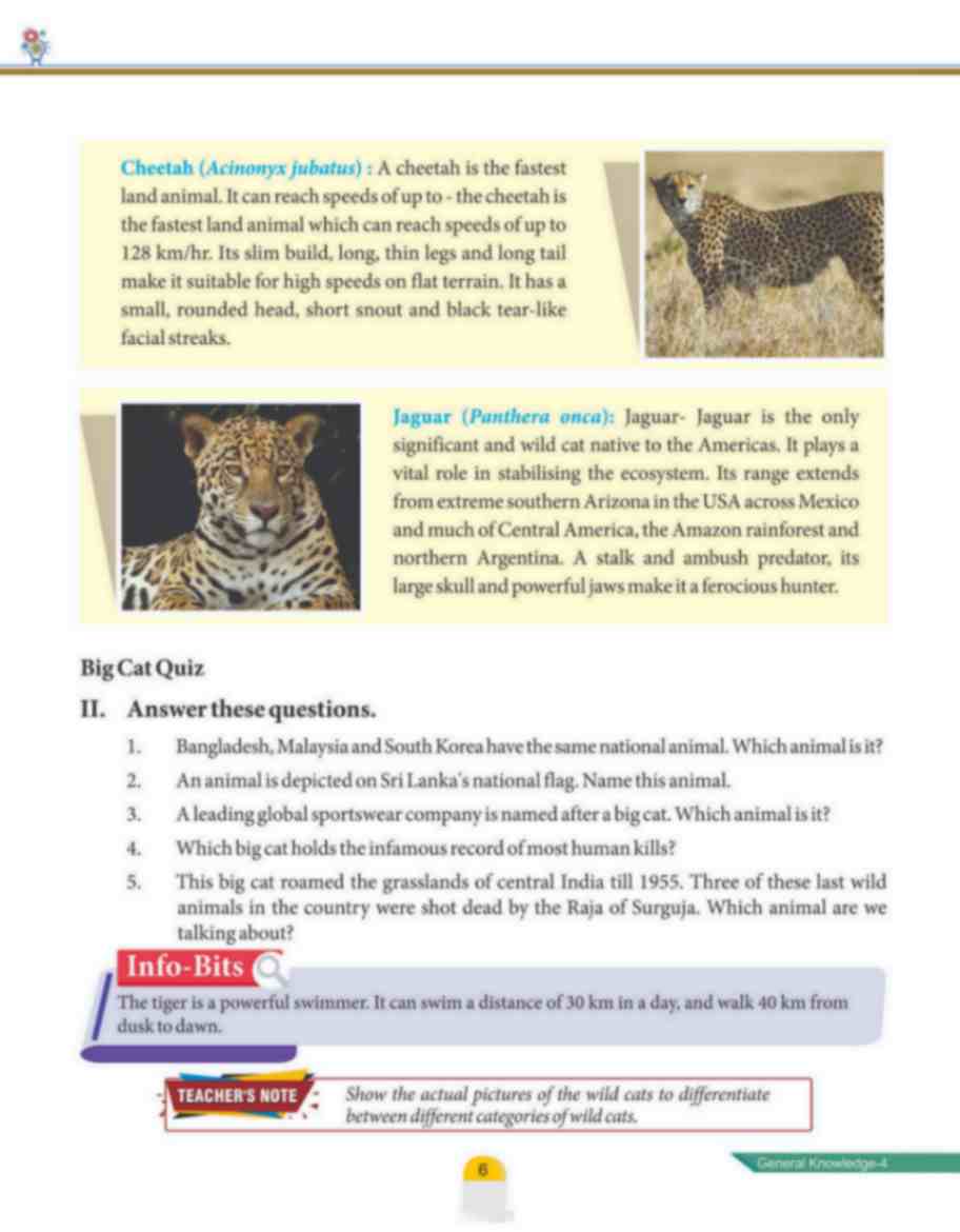 Quest To Know-4(General Knowledge) (72 Pages) - Image 4