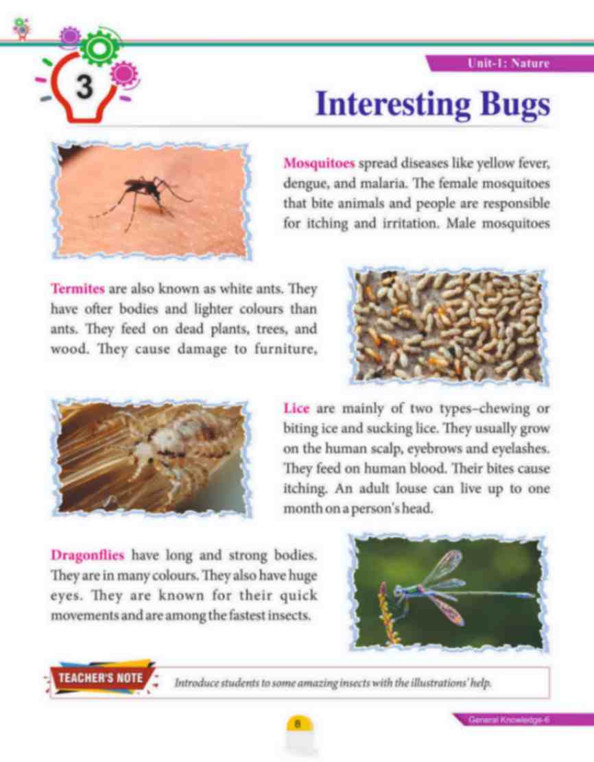 Quest To Know-6(General Knowledge) (80 Pages) - Image 3