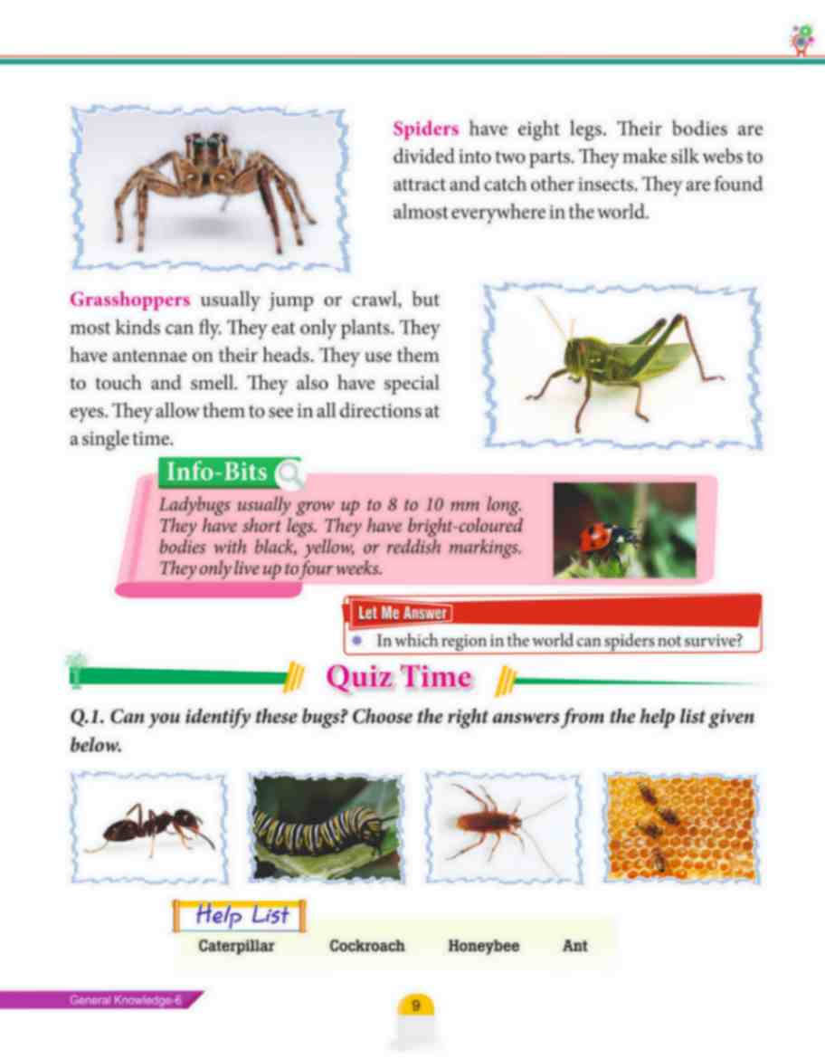 Quest To Know-6(General Knowledge) (80 Pages) - Image 4
